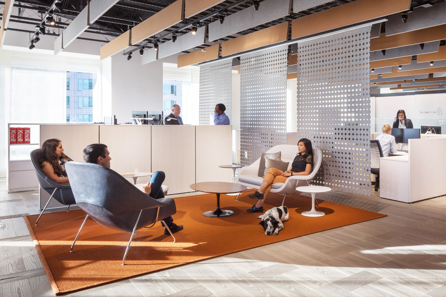 Explore Knoll Office